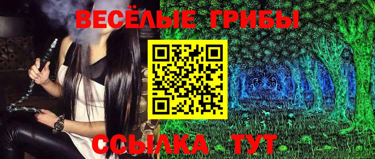 Галлюциногенные грибы Psilocybine cubensis Саянск