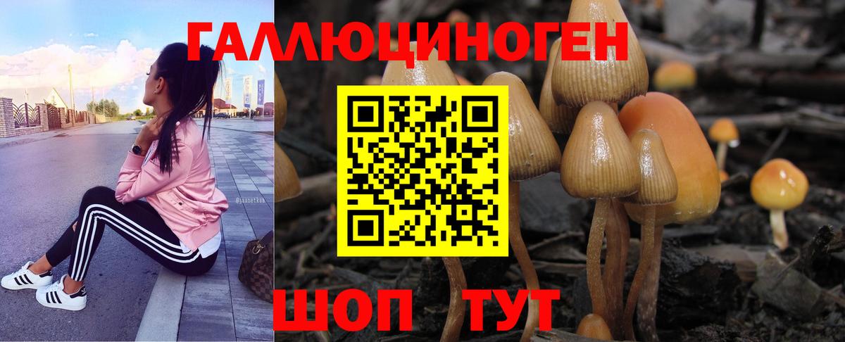 Галлюциногенные грибы GOLDEN TEACHER  Псилоцибиновые грибы MAGIC MUSHROOMS  Саянск  Вход с VPN 